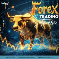 Advanced Forex Trading Software: Gain the Competitive Edge